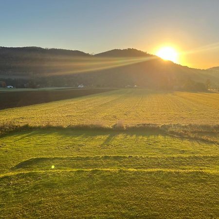 Apartman Na Bukovce Malma Červená Voda Buitenkant foto
